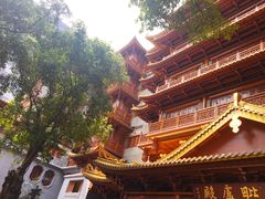 -大佛寺高级素食自助餐厅