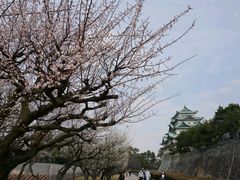 -名古屋城