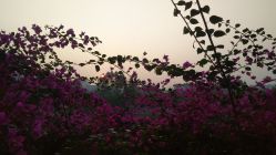 -鸿睿贝之语月子中心