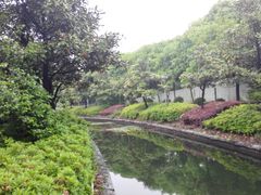 -蠡湖大桥公园