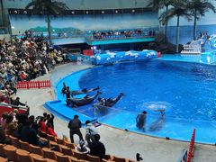 -海合安成都极地海洋公园
