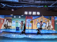 -重庆欢乐海底世界