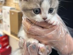 -爪爪喵星球·猫舍(卓悦中心店)