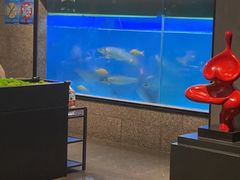 -淘米捞·米汤脆鲩鱼火锅(福田皇岗店)