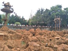 -昆明动物园