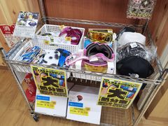 -TANABE SPORTS 滑雪用品双板专门店