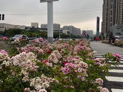 -万达茂商场(南京仙林店)