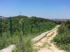 -峙山公园