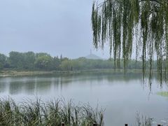 -北坞公园