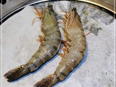 -熊出没日本烧肉放题