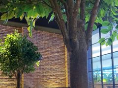 -同仁四季椰子鸡(宝安壹方城店)