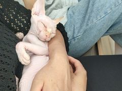 -宠福鑫康馨动物医院·骨科·眼科