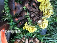 -大理董·董家小厨野生菌火锅(古城旗舰店)