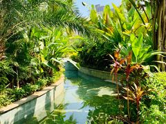 -碧桂园润杨溪谷温泉酒店