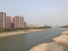 -沙澧河风景区
