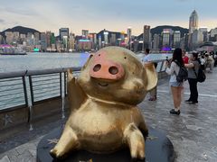 -星光大道