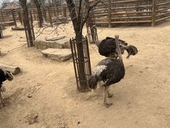 -太原动物园
