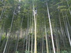 -黄公望隐居地