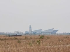 -盐城丹顶鹤湿地生态旅游区