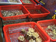 -桃源尚品海鲜酒楼(京港澳高速店)