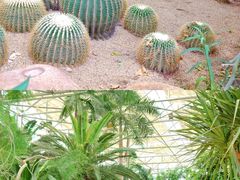 -祥源·阜阳生态乐园