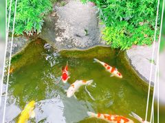 -罗红摄影艺术馆