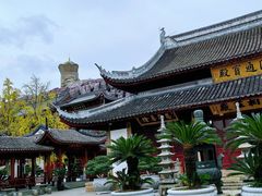 -上海东林寺(金山区)