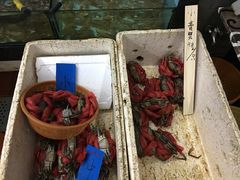 -莲花公园煎蟹(总店)