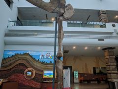 -自贡恐龙博物馆