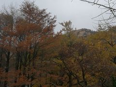 -青岛崂山太清宫