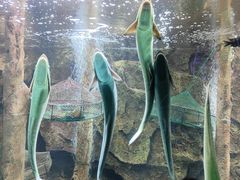 -北海海底世界