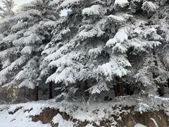 -太子岭滑雪场