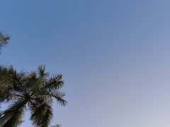 -惠和石文化园