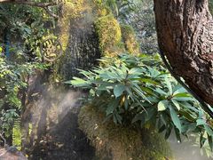 -Chom Cafe and Restaurant