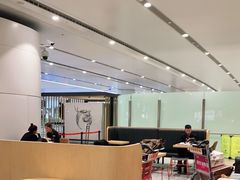 -麦当劳(北京大兴机场二层国内到达(安检外)店)