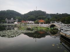 -红山村