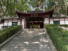 -上海佘山国家森林公园天马山园