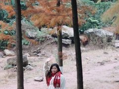 -重庆彩云湖湿地公园