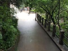 -紫金山天文台