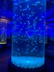 -Zoolung Zoolung动物主题公园(海信广场店)