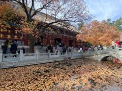 -香山公园