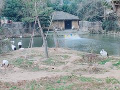 -杭州野生动物世界