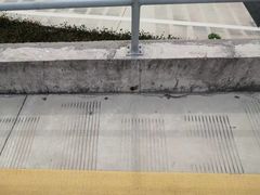 -安飞驰驾校·学车连锁(金高店)