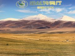 -新疆巴州金丝特餐厅(大钟寺店)