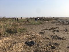 景点-南汇嘴观海公园