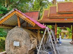 -西双版纳傣族园