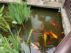 -聚缘堂·海鲜私房菜(松岭路店)