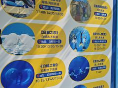 -秦皇岛乐岛海洋王国