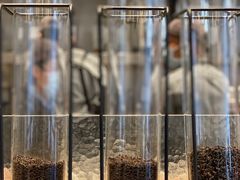 -喜茶(上海打浦桥日月光gelato lab+店)