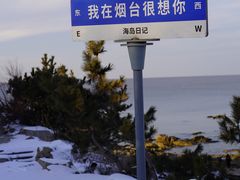 -养马岛旅游度假区
